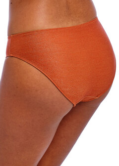 Freya bikini brief Arizona Waves