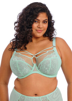 Elomi Brianna Bh 