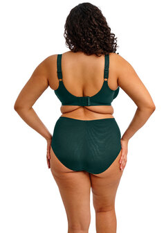  Elomi Cate diep groen