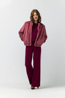 Label Dot Daphne