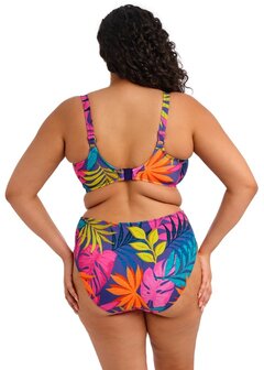 Elomi Bikini top serieT Porto Rafti