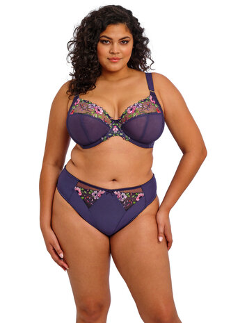 Elomi High leg Brief