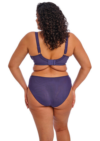 Elomi High leg Brief