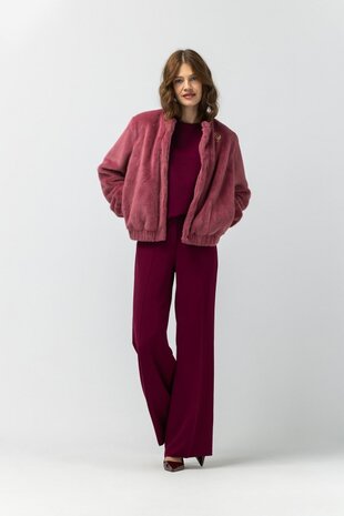 Label Dot Daphne