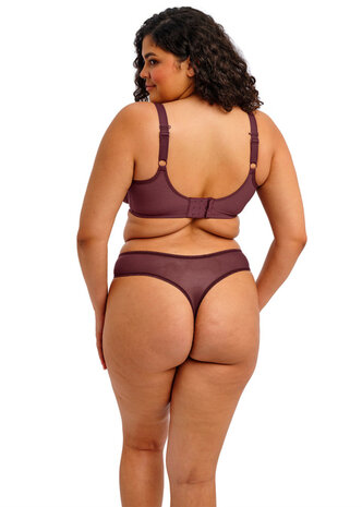 String van elomi serie Sugarplum.