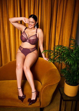 String van elomi serie Sugarplum.
