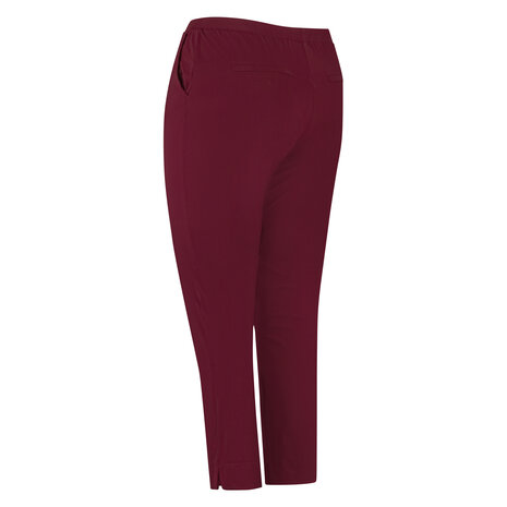 Plus Basics City pant long Berry
