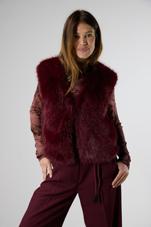 Label Dot Lilian