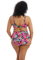 Savaneta Uw Plunge Bikini Top tot cup N.