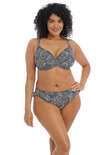 Pebble Cove Black High Leg Brief