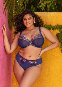 Elomi High leg Brief