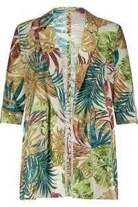 Plus Basics Roll-up Brazil