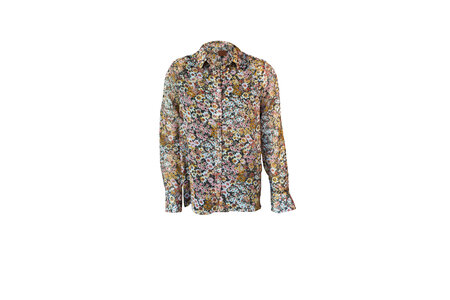 Blouse Flashy gold.