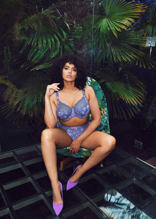 Elomi Beugel BH Morgan