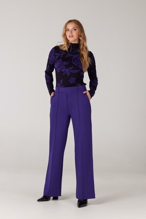 Broek Aleid