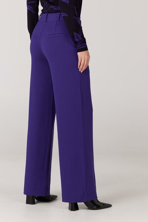 Broek Aleid