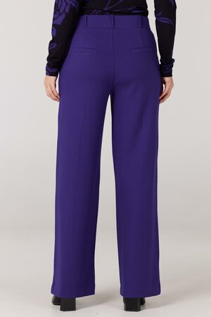 Broek Aleid