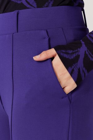 Broek Aleid